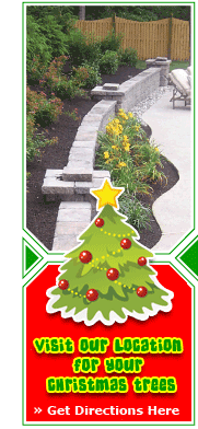 Reimel Landscaping